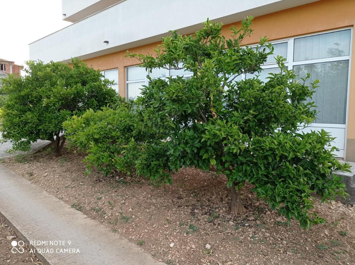 Studio Apartment With Balcony Trogir Bagian luar foto